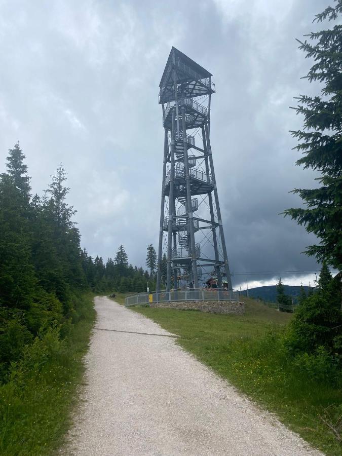 Vila 66 - Cista V Krkonosich Černý Dŭl Dış mekan fotoğraf